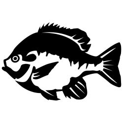 Bluegill 2 Wall Decal