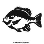 Bluegill 2 Wall Decal