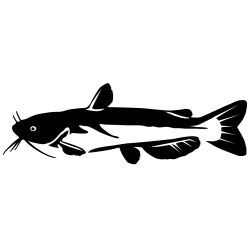 Channel Catfish Wall Decal