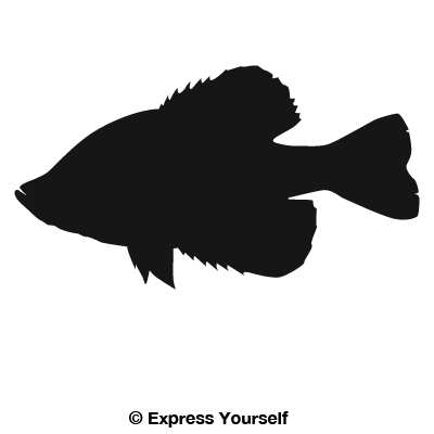 Crappie Decal