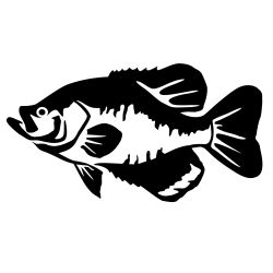 Black Crappie Wall Decal