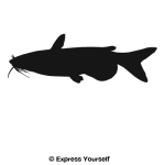 Channel Catfish2 Wall Decal
