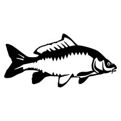 Carp Detailed Wall Decal