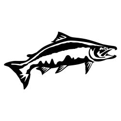 Chinook Salmon Leap Wall Decal