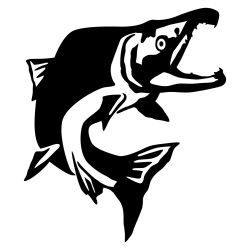 Sockeye Salmon Jump Wall Decal