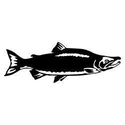 Sockeye Salmon Wall Decal