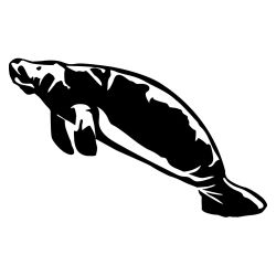 Manatee Wall Decal