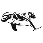 Dolphin and Calf Decal