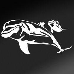 Dolphin and Calf Decal