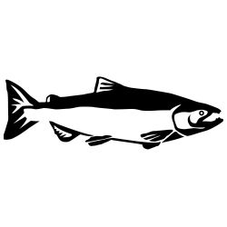 Chinook Salmon Wall Decal