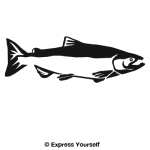 Chinook Salmon Decal