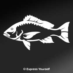 Red Snapper Decal