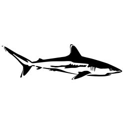 Reef Shark Wall Decal