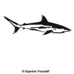 Reef Shark Wall Decal