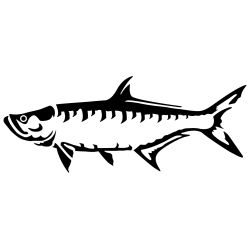 Tarpon Wall Decal