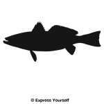 Weakfish Decal