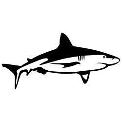 Bull Shark Cruising Wall Decal