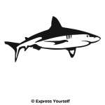 Bull Shark Cruising Wall Decal