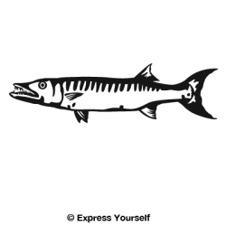 Barracuda Decal