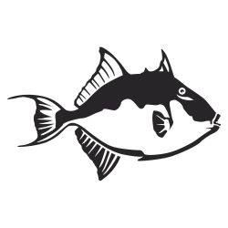 Triggerfish Wall Decal