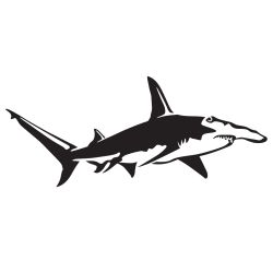 Great Hammerhead Shark Decal