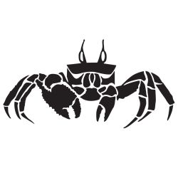 Beach Crab Decal