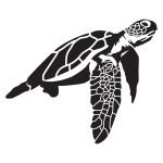 Sea Turtle Decal