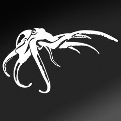 Octopus Decal