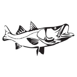 Detailed Snook Wall Decal