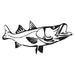 Detailed Snook Wall Decal