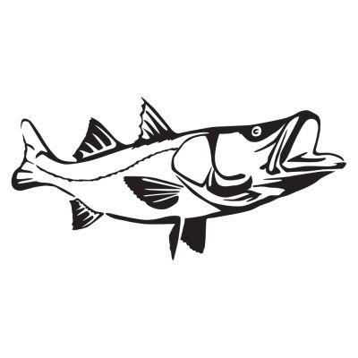 Detailed Snook Decal