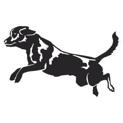 Jumping Lab Wall Decal