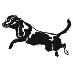 Jumping Lab Wall Decal