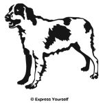 Brittany Spaniel 2 ...