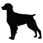 Show Brittany Spaniel Decal