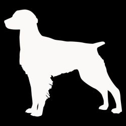 Show Brittany Spaniel Decal