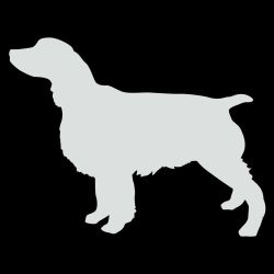 English Springer Decal