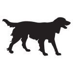 Springer Gun Dog Decal