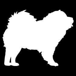 Chow Dog Decal