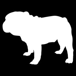 English Bulldog Decal