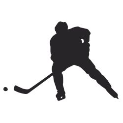 Hockey Pass Wall Decal