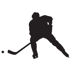 Hockey Pass Decal