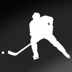 Hockey Pass Decal
