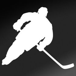 Hockey Defender Decal