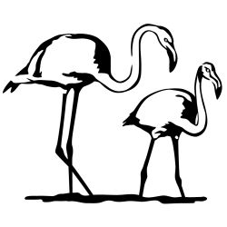 Flamingo Mother and Child Wall Decal