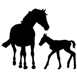 Horse Mother and Child Wall Decal