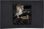 Waterfowl Door Mats