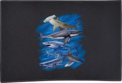 Assorted Sharks Doo...