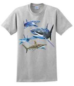 Sharks T-Shirt