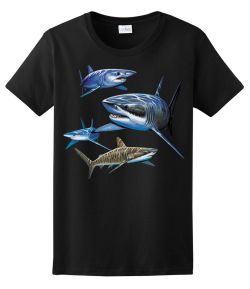 Sharks Ladies Tee